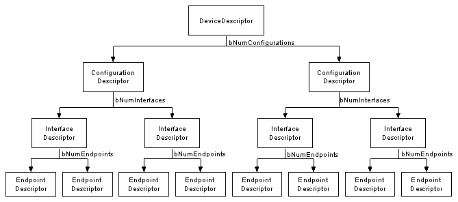 Image of USB descriptor hierarchy